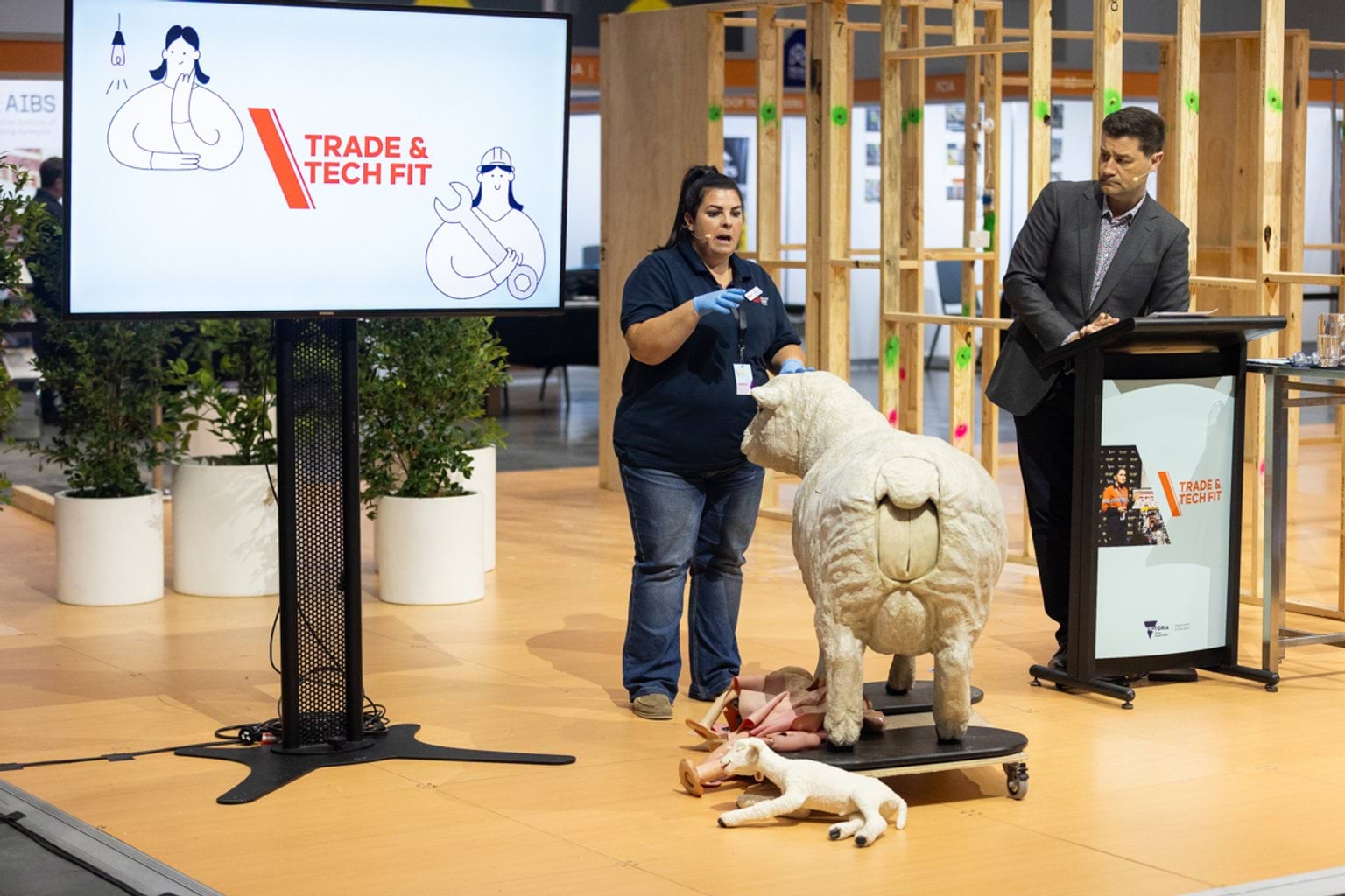 Lamb birthing simulator demonstration with agriculture professional