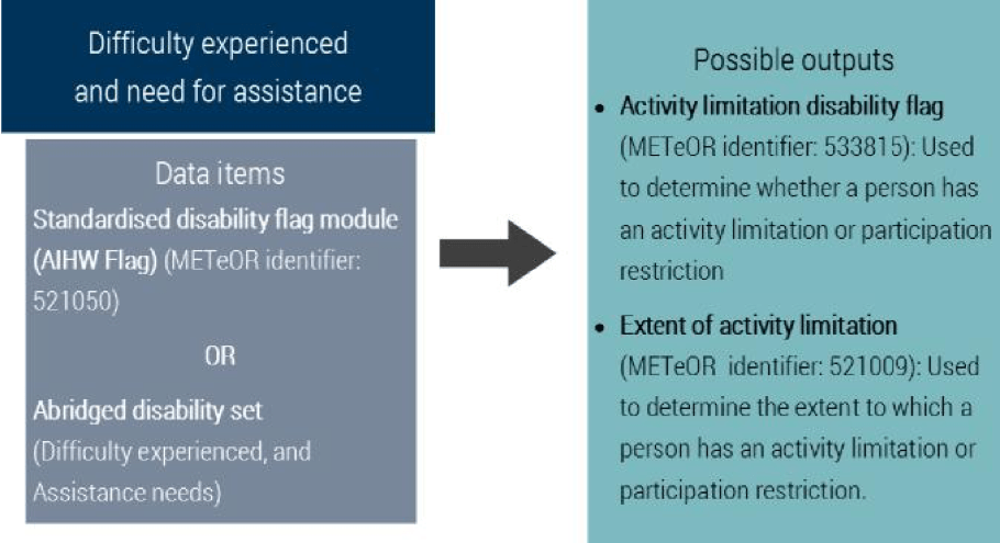 Figure 4: Overview of data collection standard for collection of disability information