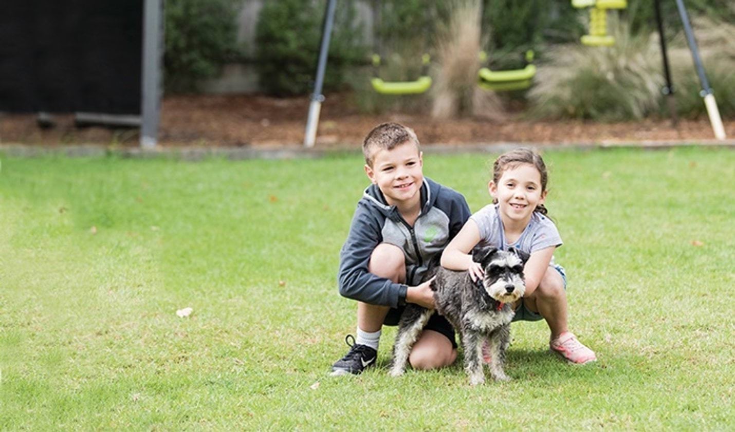 New laws on pets in rental properties start 2 March 2020 Children with a pet dog