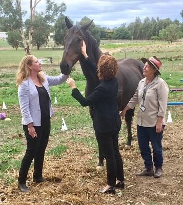 Women standing in paddock with therapy horse