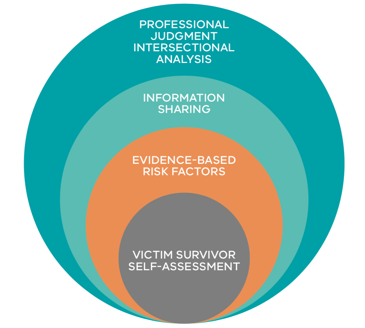 Figure 1: Model of Structured Professional Judgement