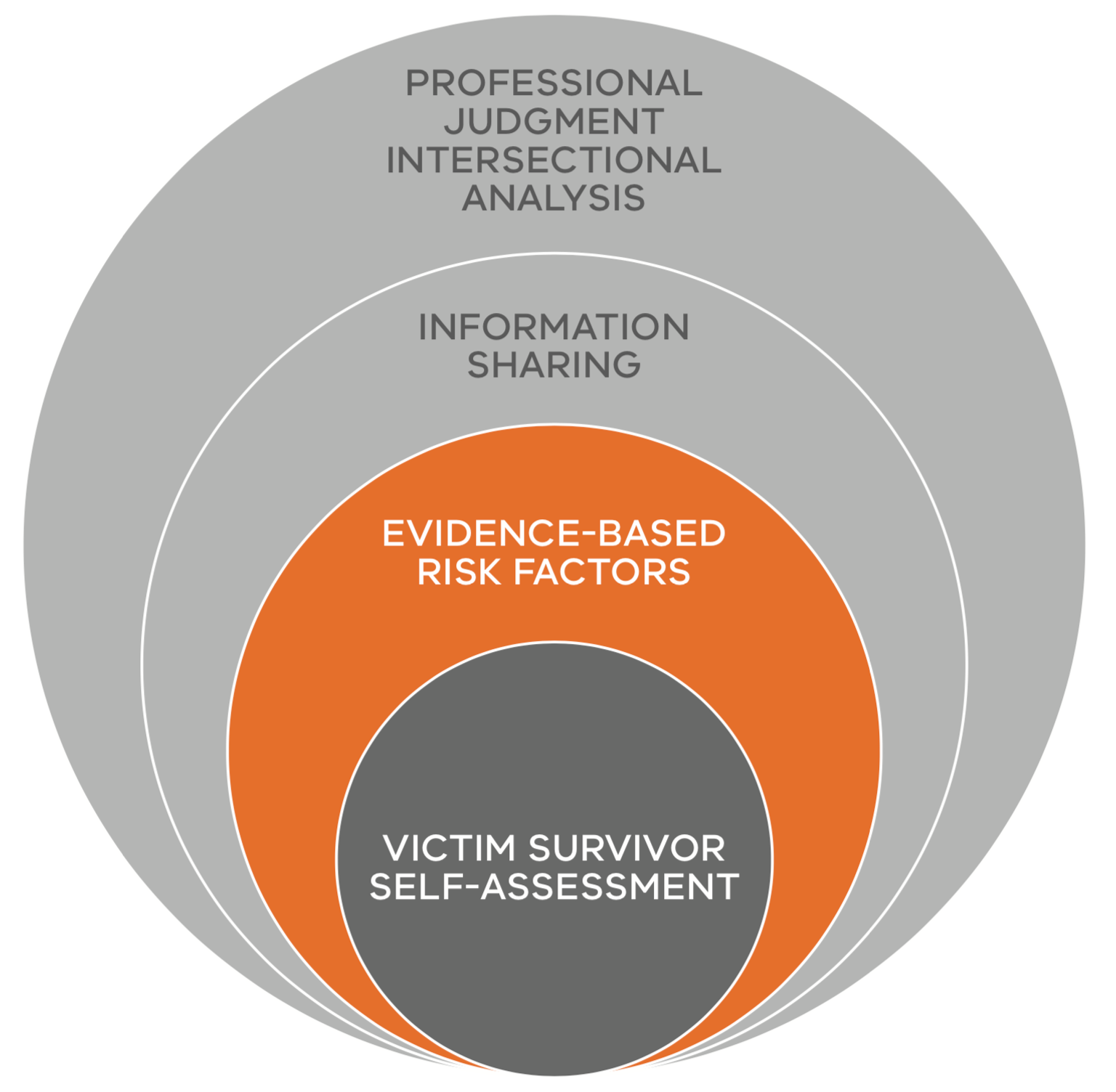 Figure 1: Model of Structured Professional Judgement