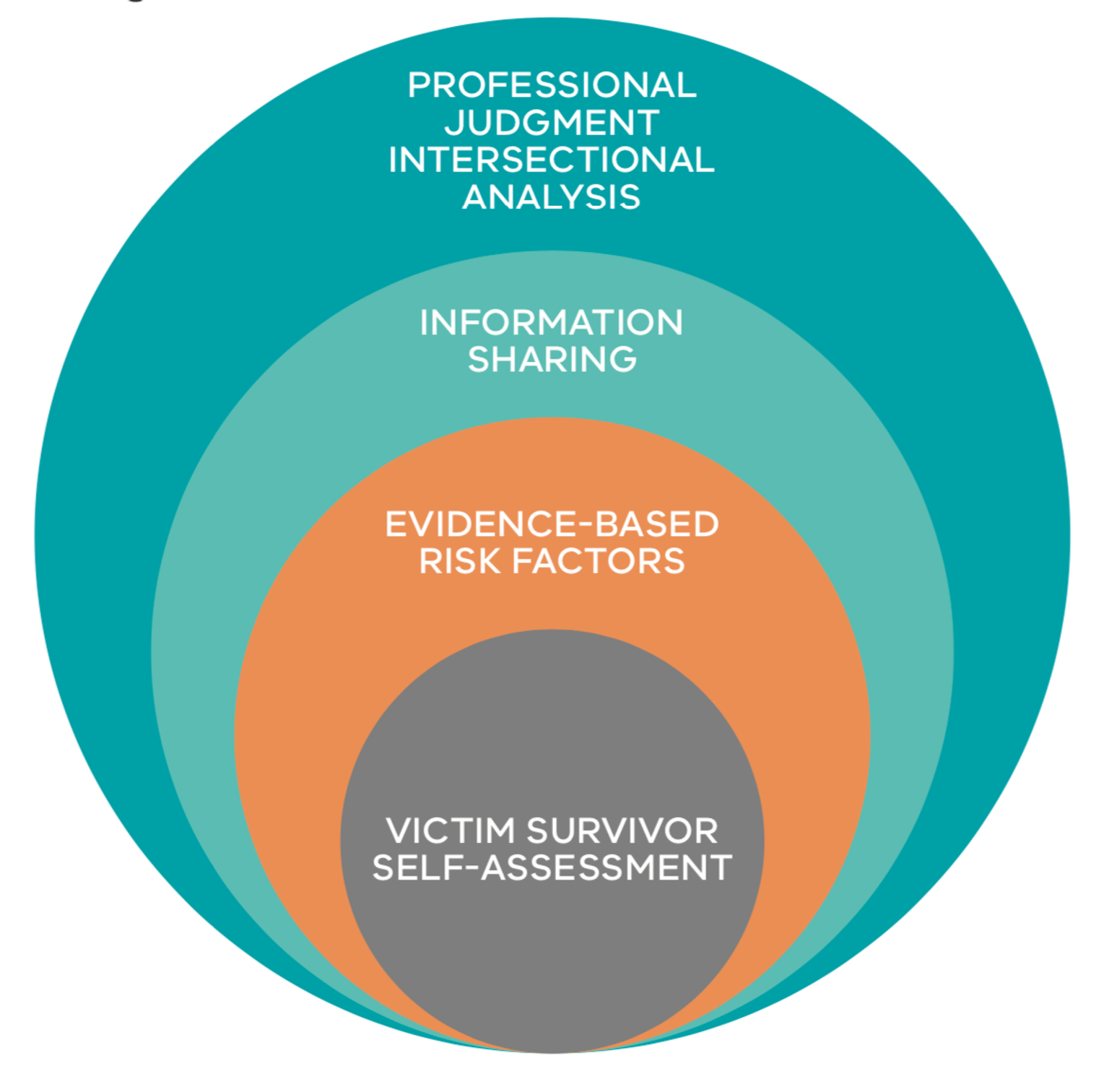 Figure 1: Model of Structured Professional Judgement