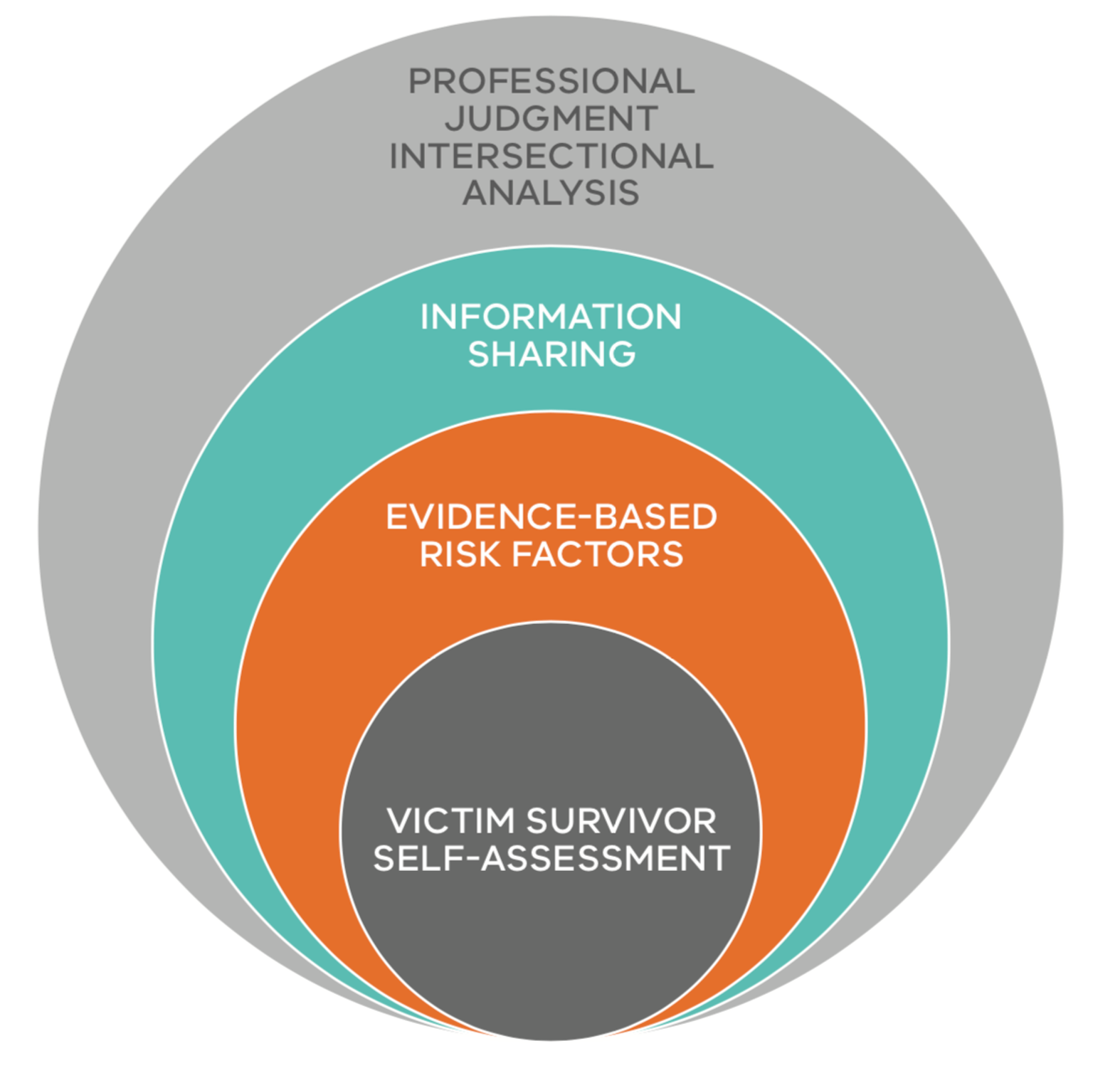 Figure 1: Model of Structured Professional Judgement