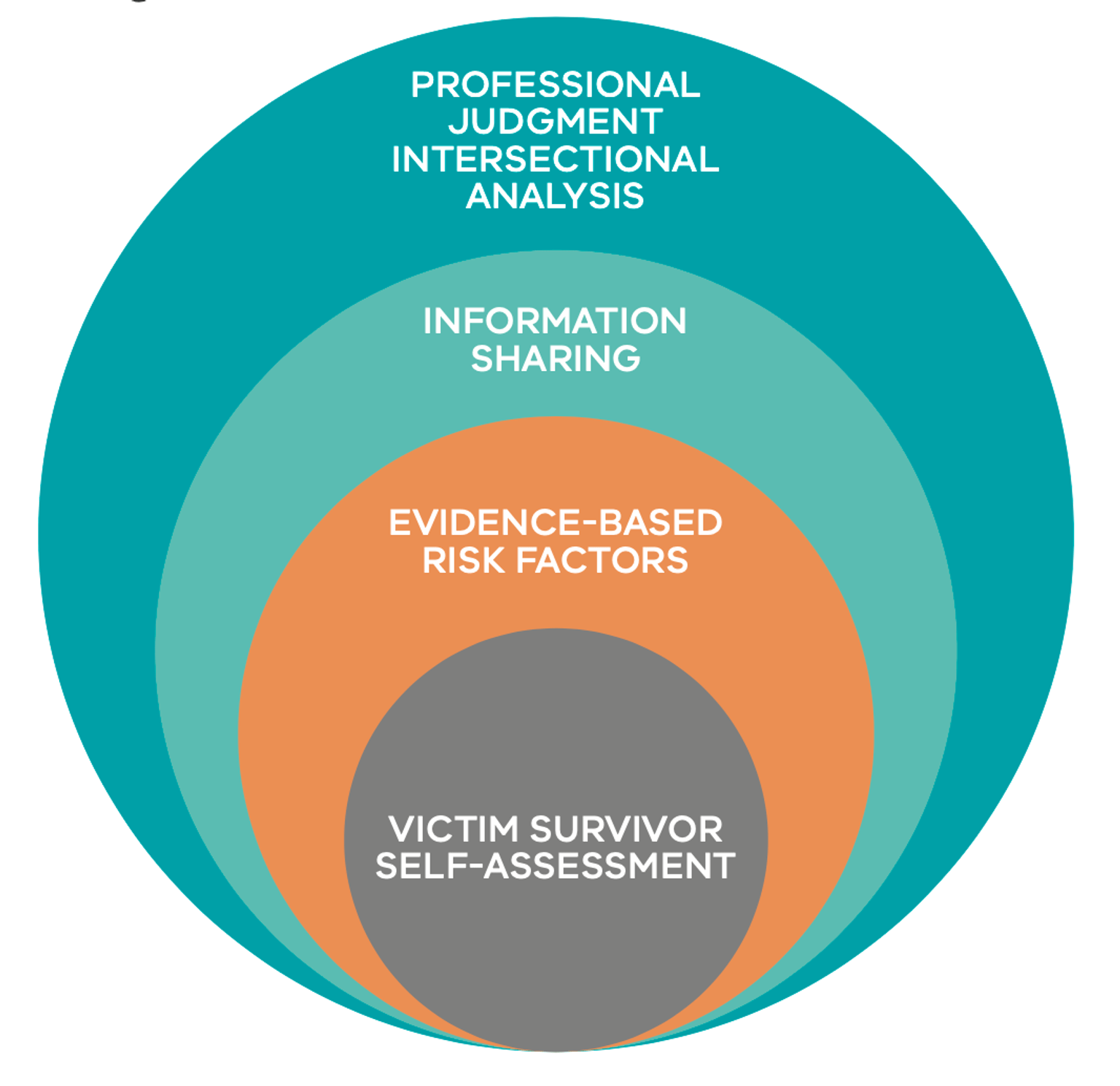 Figure 1: Model of Structured Professional Judgement