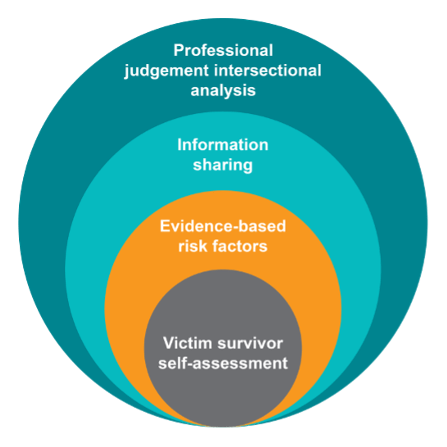 Figure 3: Model of Structured Professional Judgement