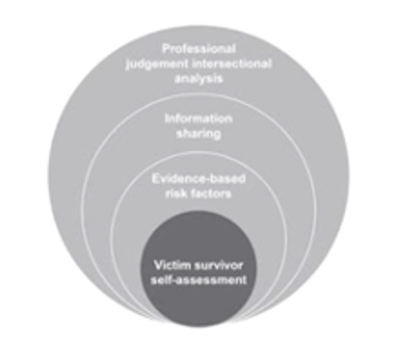 Model of Structured Professional Judgement