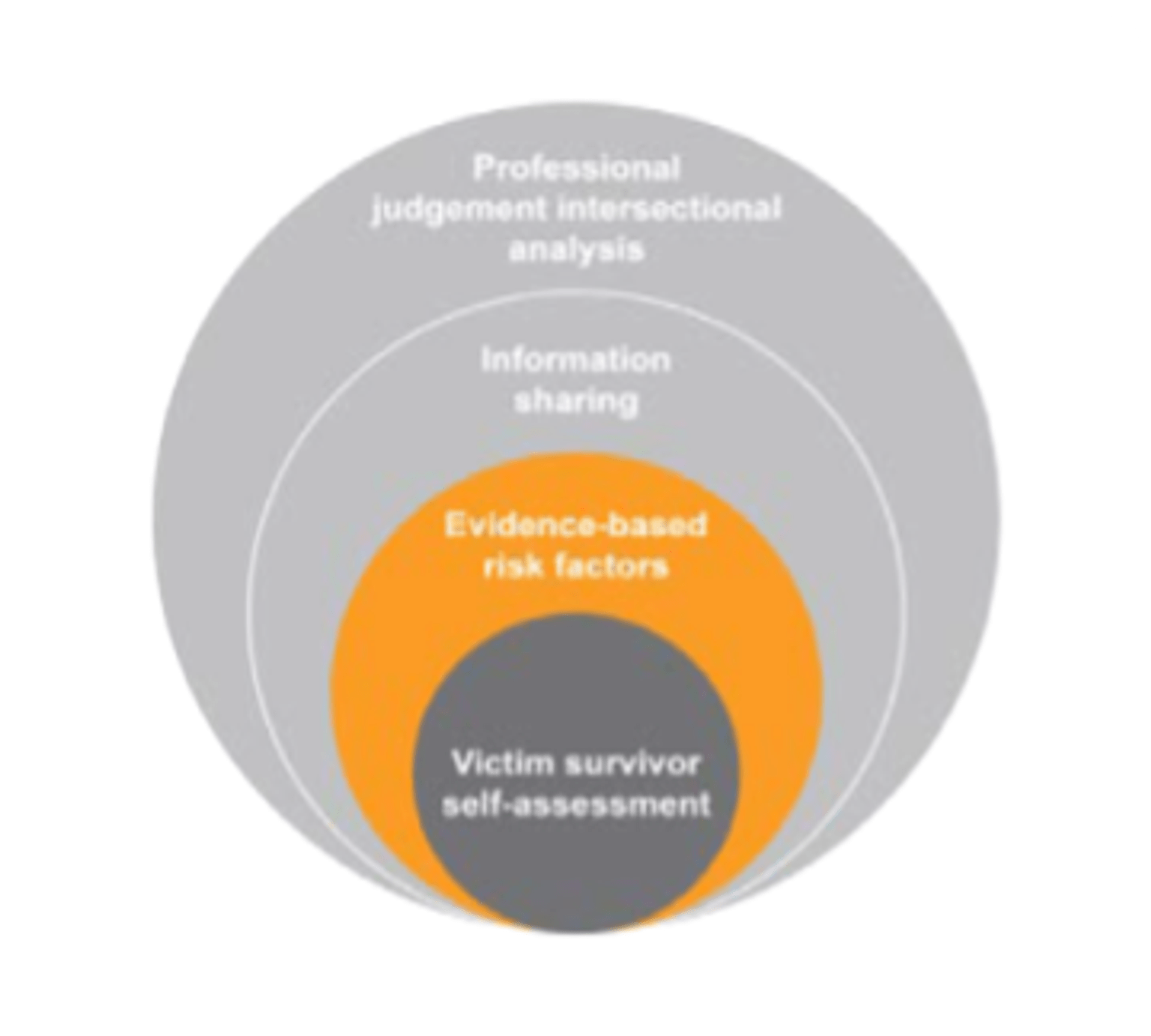MARAM PG Adult - Responsibility 2:  Model of Structured Professional Judgement