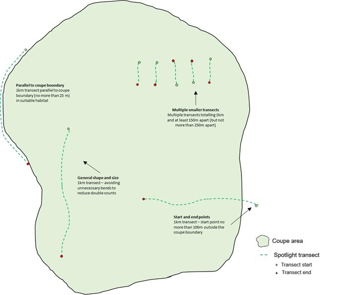 Figure 1.  Examples of acceptable arrangement of transects.