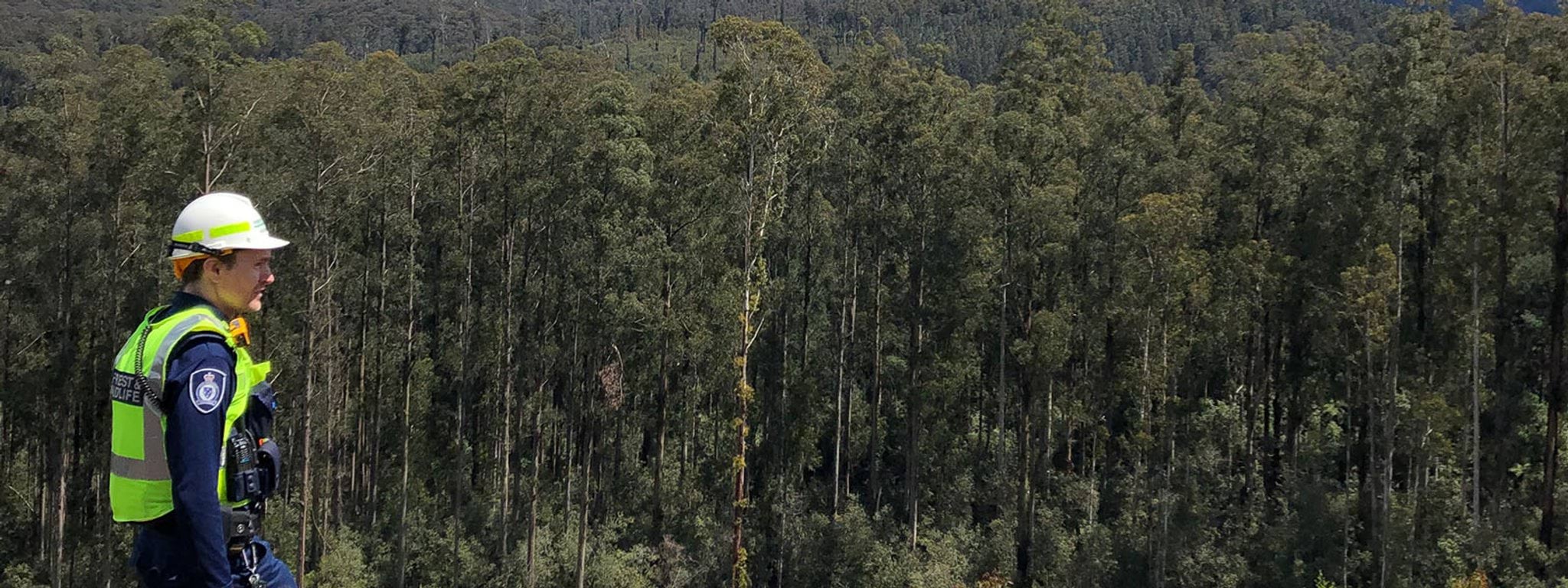 Budget and reporting Image of wildlife officer standing in front of park