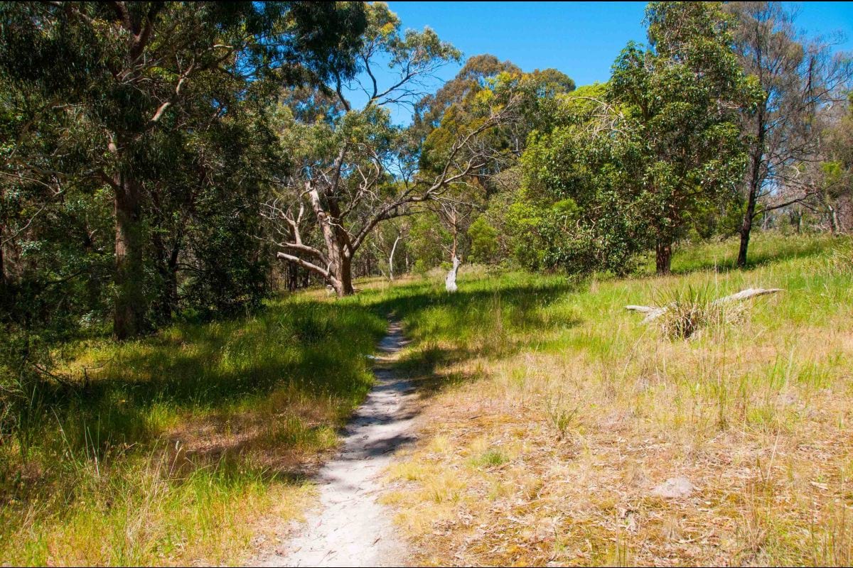 informal single tracks