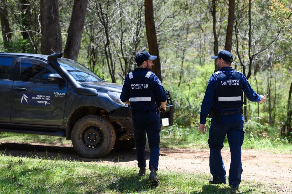 Two forest and wildlife conservation regulator officers in the field.