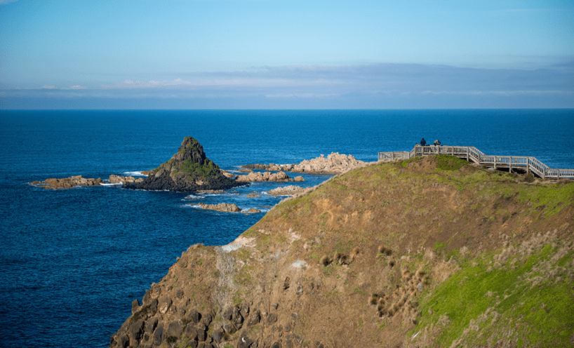 Gippsland sea coastal walk way to ocean above cliffs with people walking