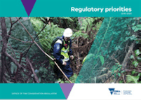 Front cover of Regulatory Priorities 2019-2020