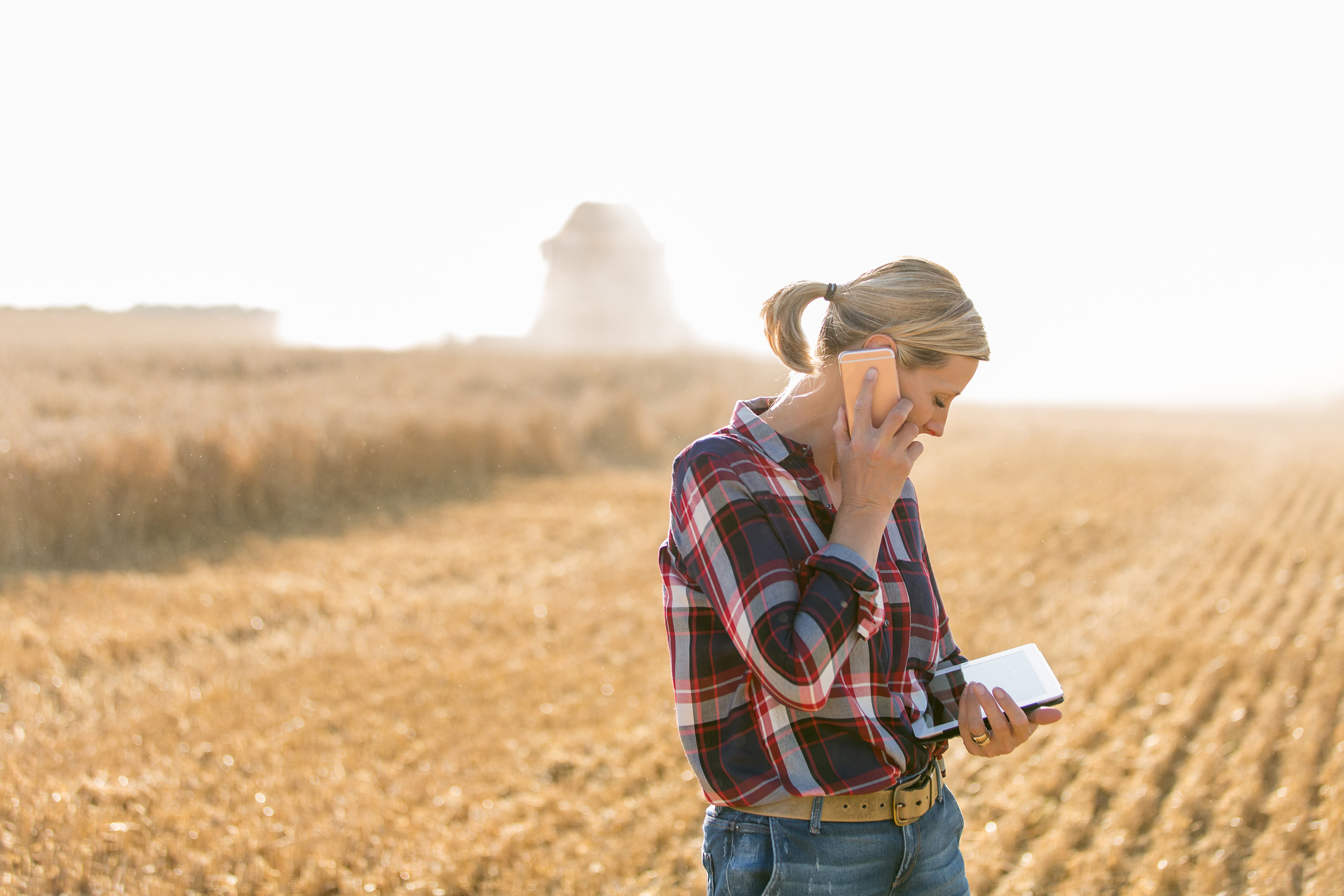 A woman farmer standing in a wheat field talking on her mobile while looking at her digital tablet 