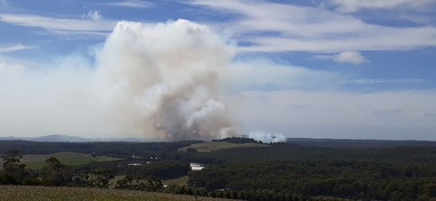 Landscape view of the Osbourne Road planned burn, as part of the Wheatsheaf FireScape project.