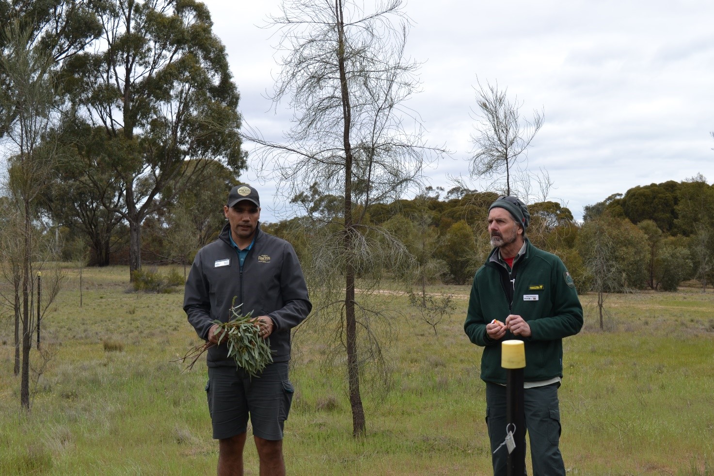 Traditional Owners discussing the objectives for the cultural burn at Minimay before ignition.