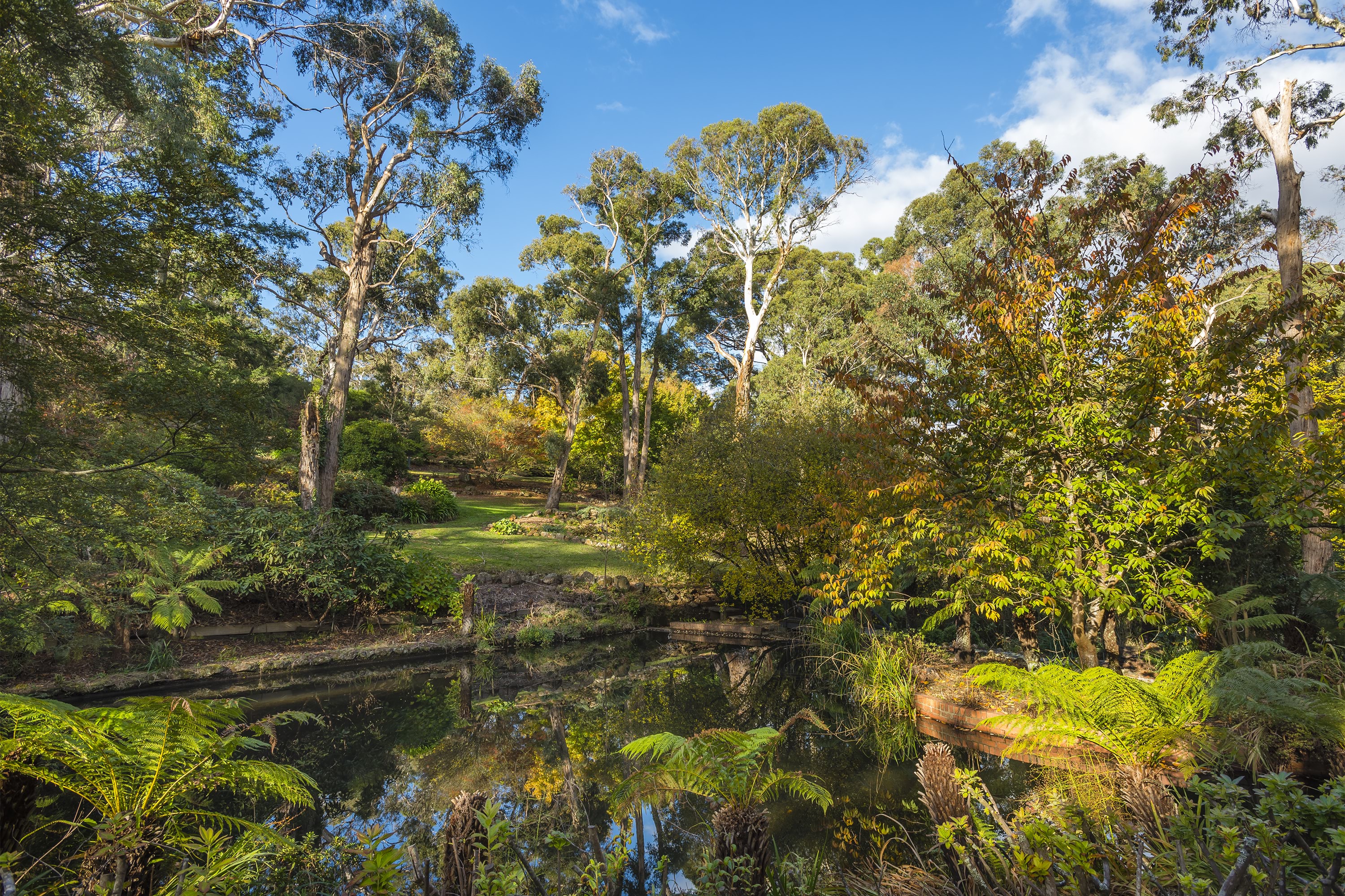 Image shows the VEMI grounds. There are trees, a small lake and blue sky