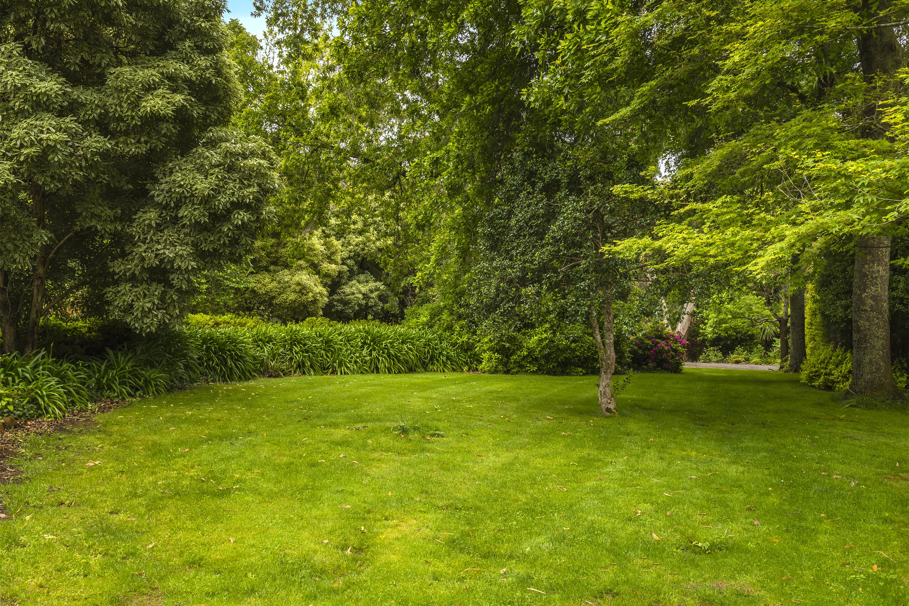 Image shows the gardens at the VEMI conference centre