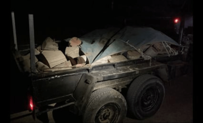 Trailer of illegal firewood from Lower Goulburn National Park