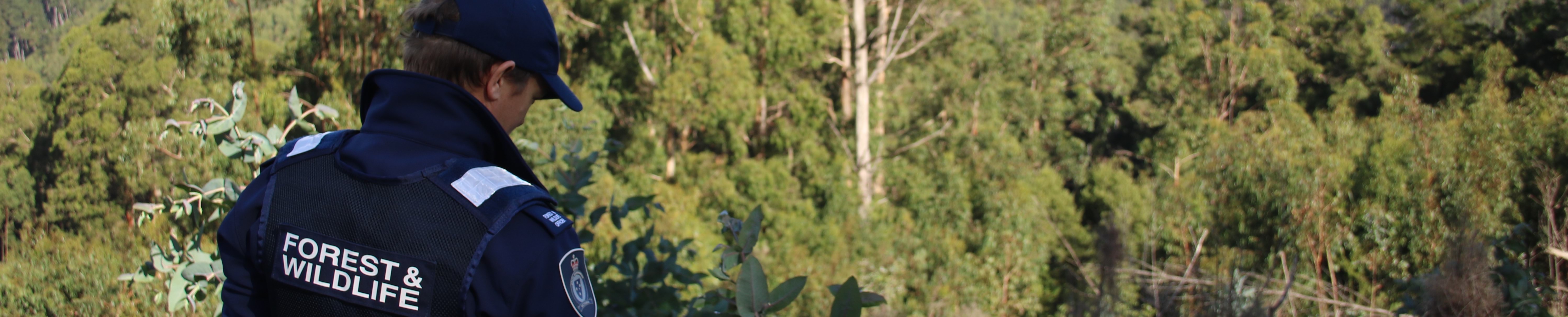 Image of a forest and wildlife officer on duty