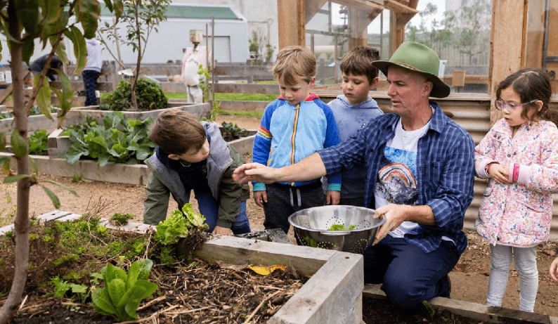 Teacher and young children at kinder picking vegetables in the garden