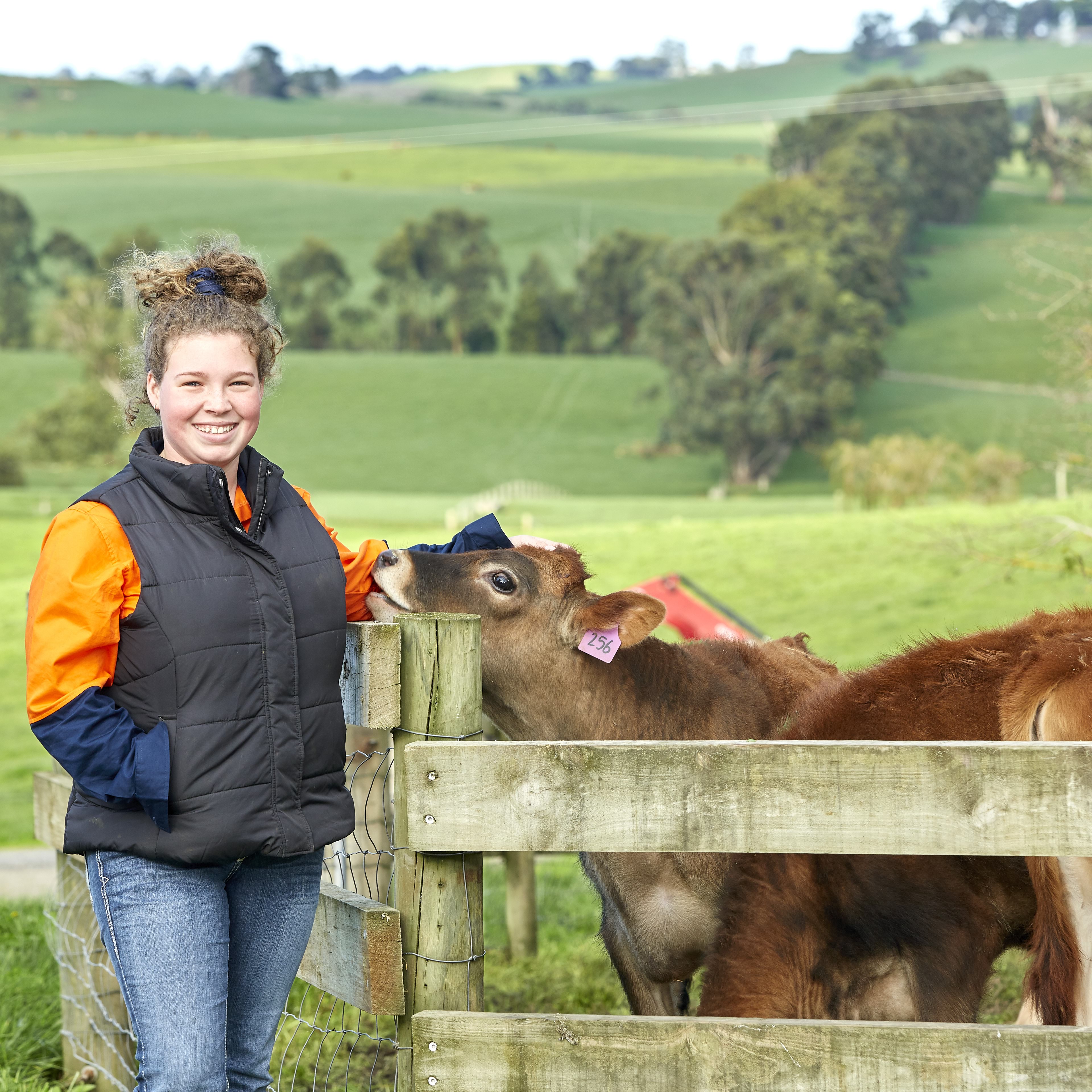 Woman in outdoor jacket standing in a farm setting next to a post with a cow nibbling on her sleeve