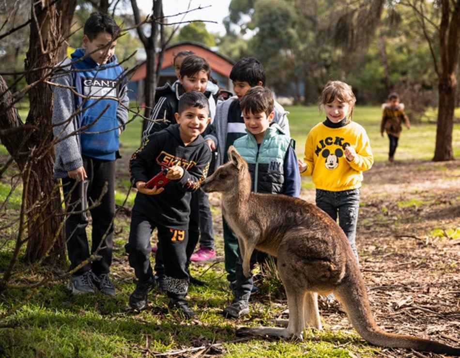 Community outreach initiative success