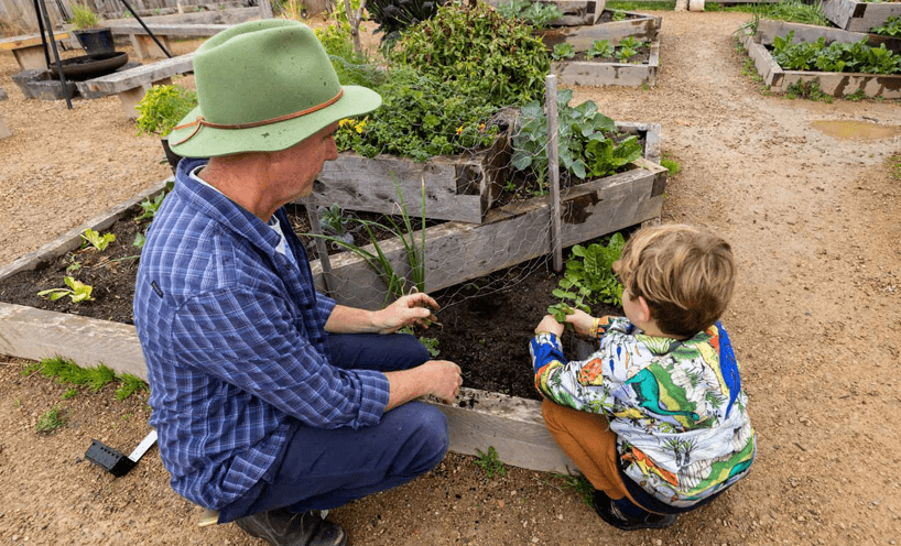 A male early childhood professional helps a child plant seedlings outside.