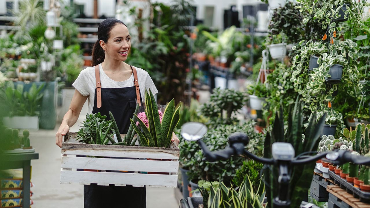 Person working in retail nursery setting 