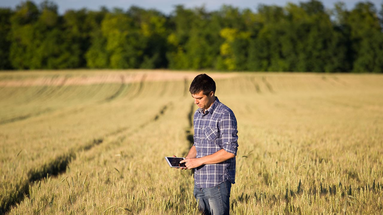 Person in crop paddock with device