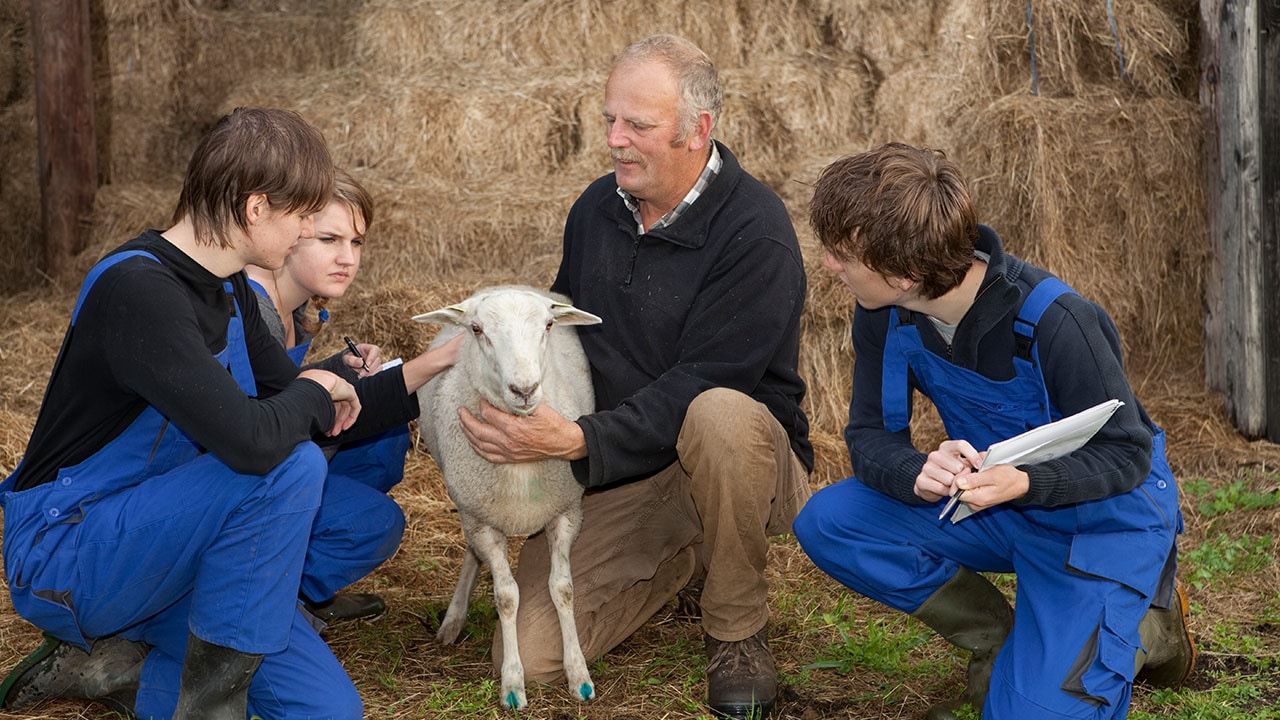 Agriculture students with instructor and sheep