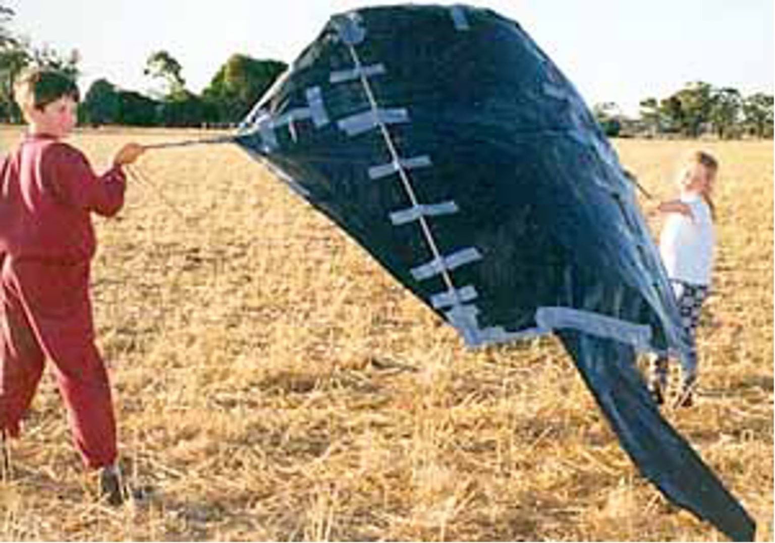 Kite to simulate bird of prey