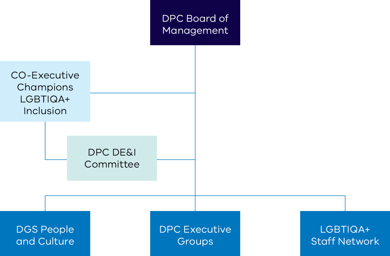 Organisation chart showing accountability and reporting lines for the LGBTIQA+ plan. Full description below
