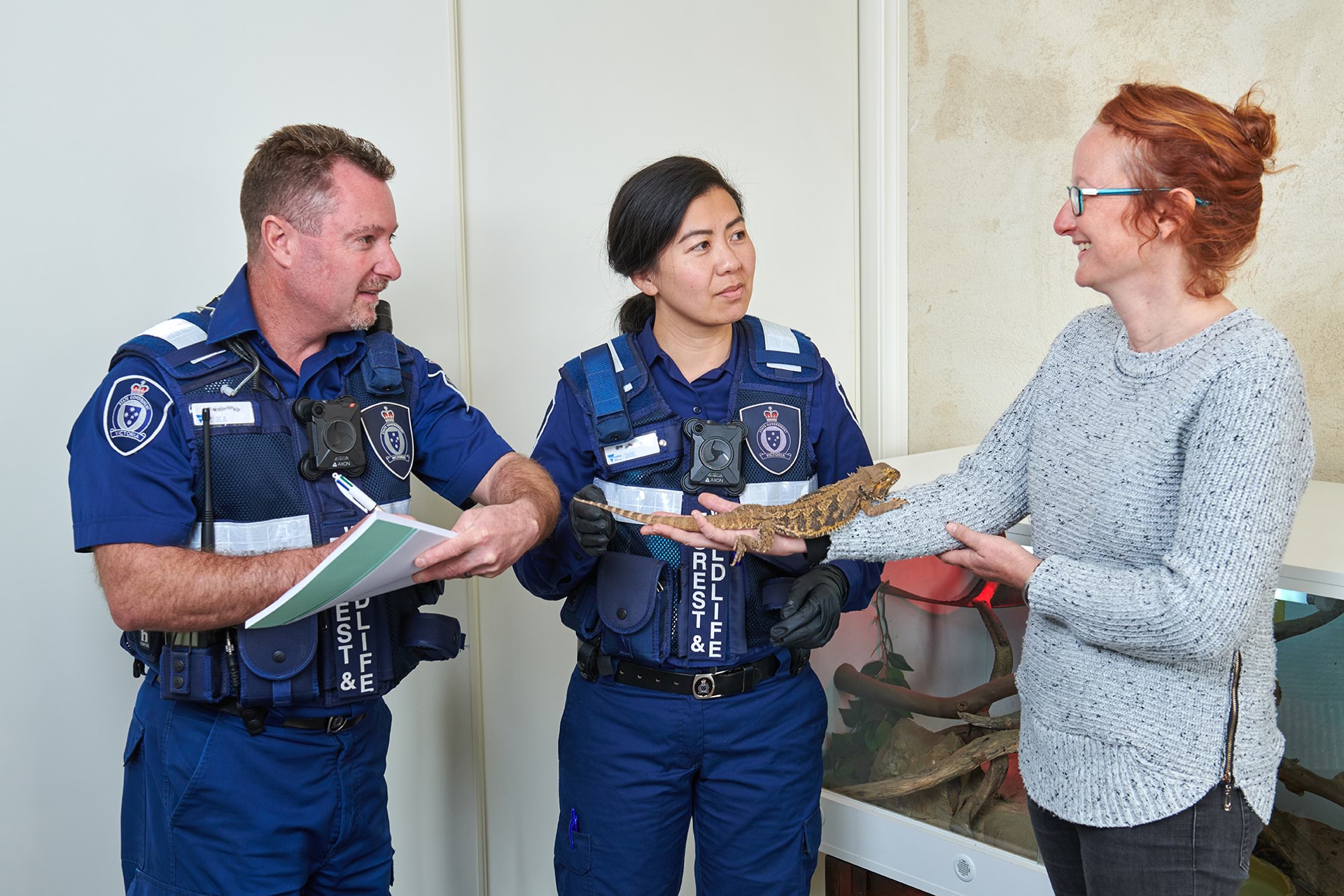 Two authorised officers inspect permit of wildlife demonstration licence holder holding lizard