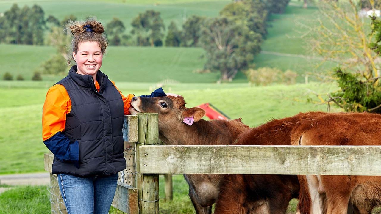 Farmer with cows