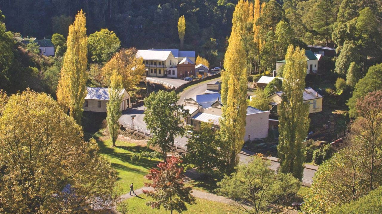 Small regional Victorian town among the trees