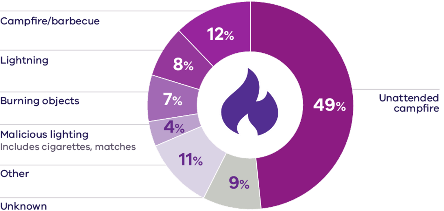 Bushfire causes 2023-2024 pie graph