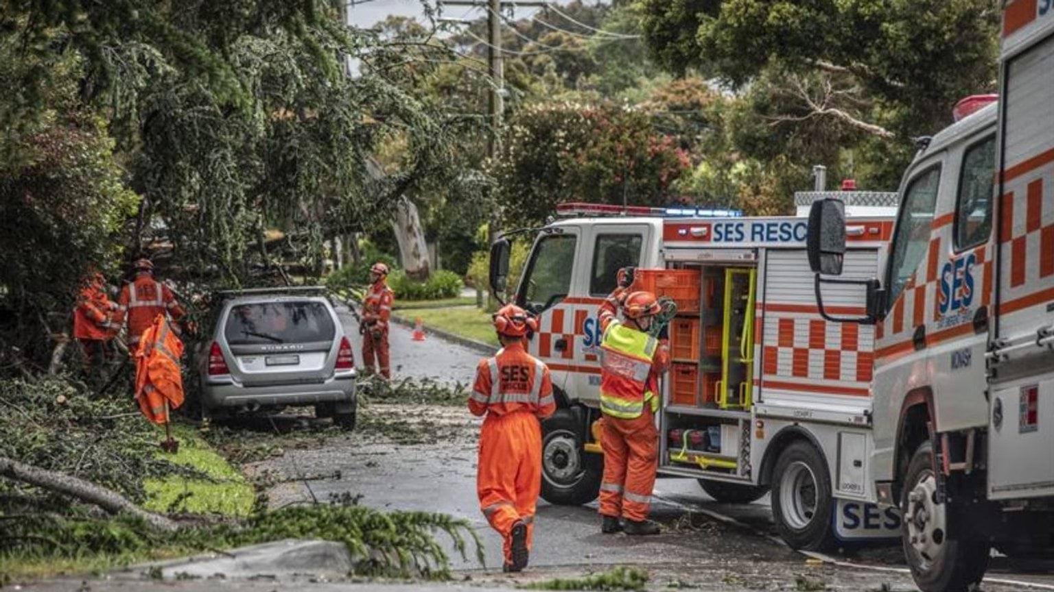 SES attending to storm damage on a street SES attending to storm damage on a street