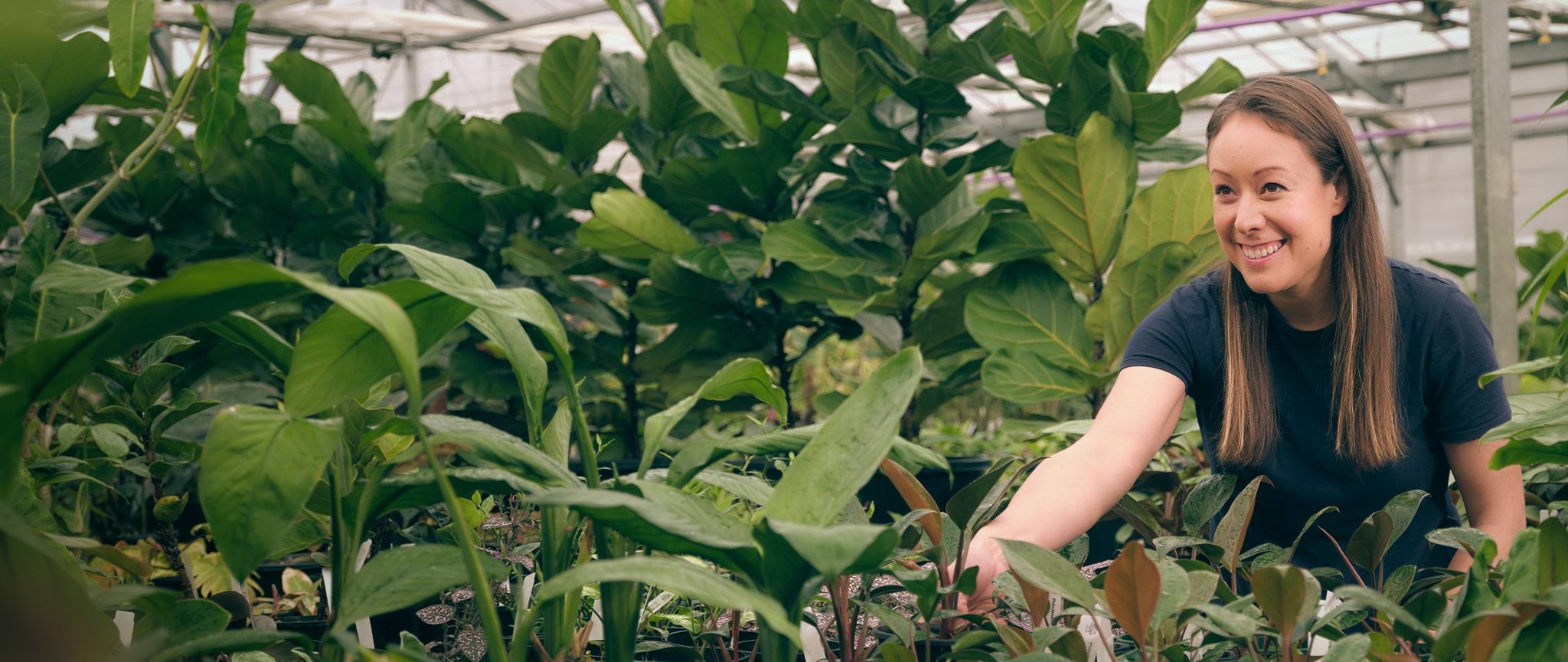 A person smiling surrounded by lots of plants in a greenhouse.