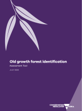 Old Growth Forest publication front cover