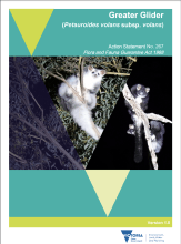 Draft guidance on Greater Glider consultation front cover